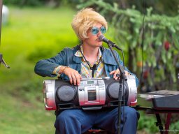 Die Bremer Stadtmusikanten